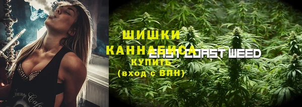 МДПВ Абаза